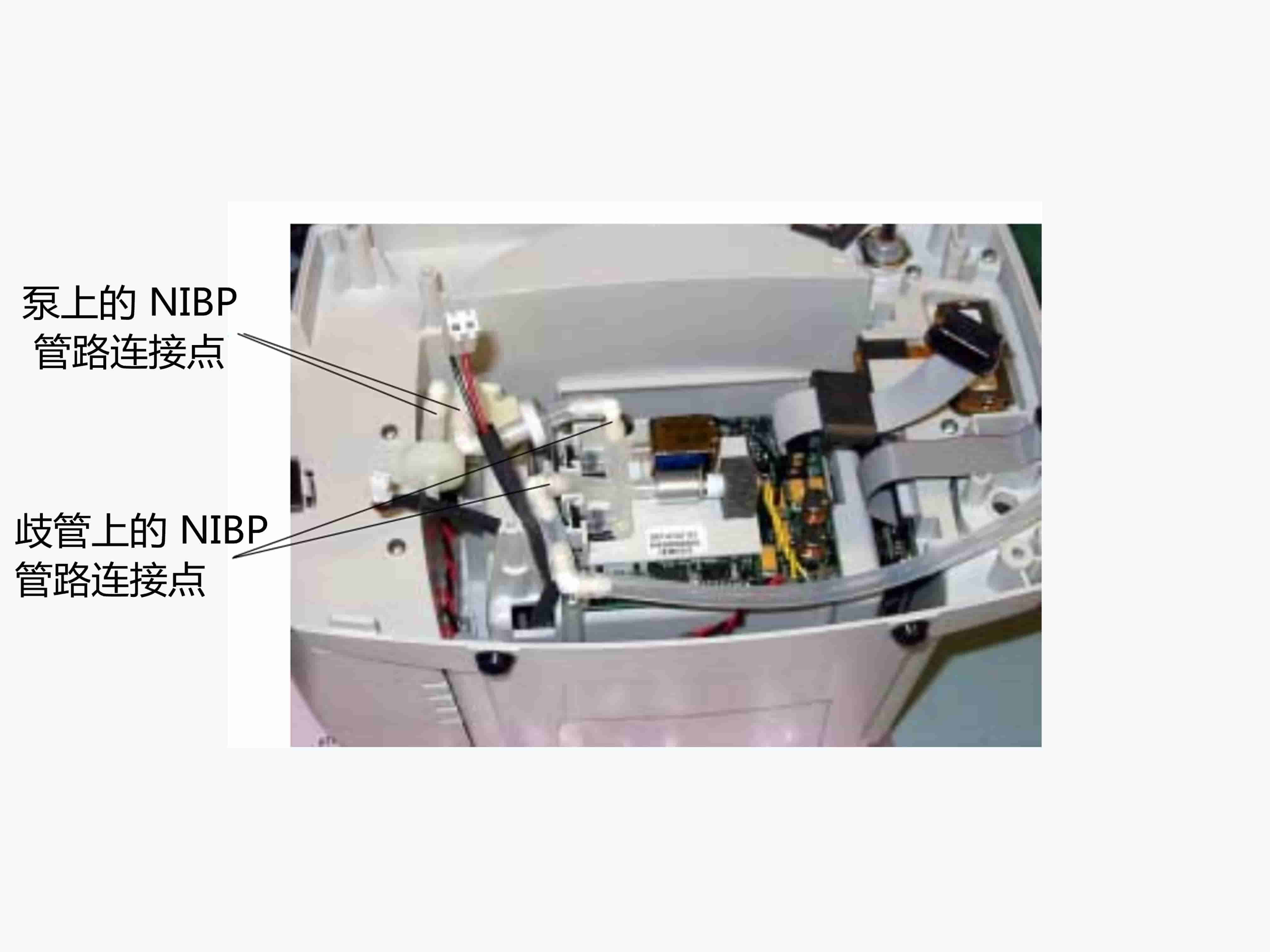 伟伦300系列NIBP模块